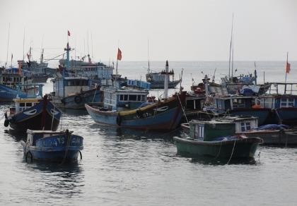 Xử lý nghiêm tàu đánh bắt hải sản bị nước ngoài bắt giữ