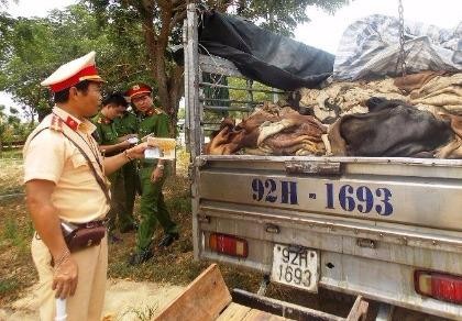 Bắt giữ gần 4 tấn da động vật bốc mùi hôi thối