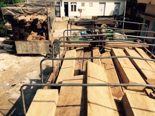 Bắt 7 người cùng 2 xe tải vận chuyển gỗ lậu