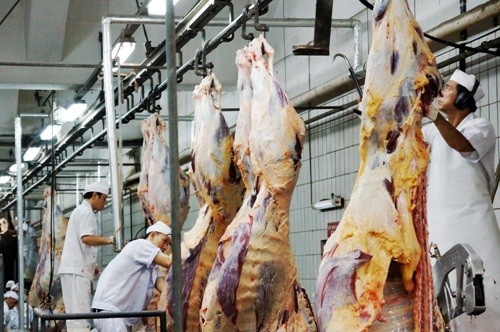 Bò viên Vissan 100% từ thịt bò Úc