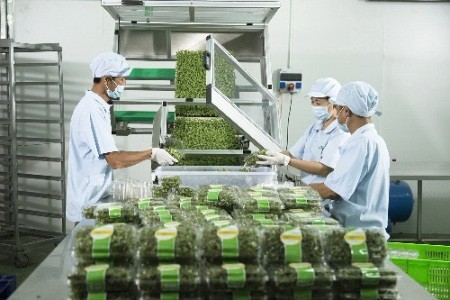 Vingroup liên kết với 1.000 hợp tác xã và hộ nông dân