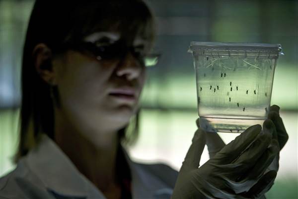 Mỹ cảnh báo virus Zika lan truyền khắp nơi