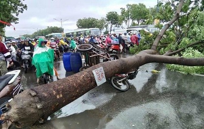 Bé trai đi đường bị cành cây rơi trúng đầu bất tỉnh, vỡ hộp sọ