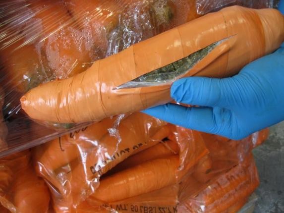 Phát hiện 1 tấn cần sa nửa triệu đô giấu trong cà rốt