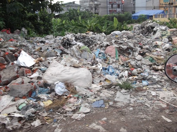 Phát hiện vi khuẩn có khả năng phân hủy nhựa