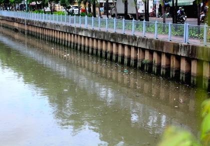 Cá tiếp tục ngoi ngóp trên kênh Nhiêu Lộc
