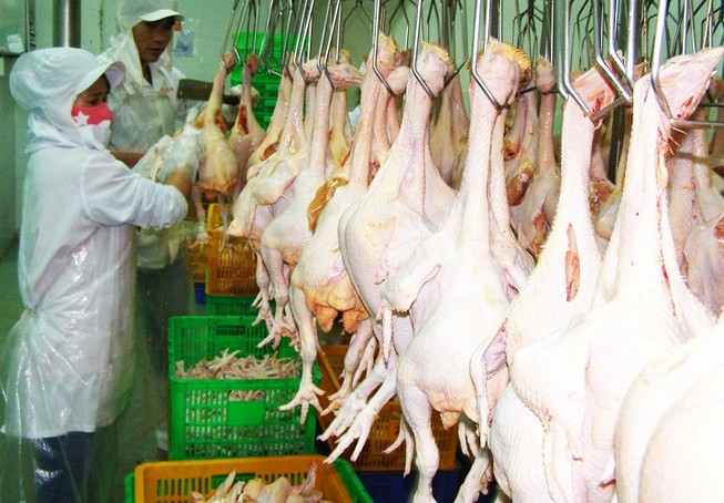 Mang thực phẩm an toàn đặt trên bàn ăn