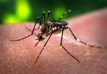 Người nước ngoài nhiễm virus Zika sau khi du lịch ở Việt Nam