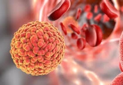 Bộ Y tế thông tin lại ca nhiễm Zika khi du lịch Nhật Bản