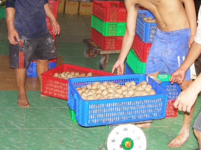 Ung thư bắt nguồn từ thực phẩm bẩn chiếm 35%