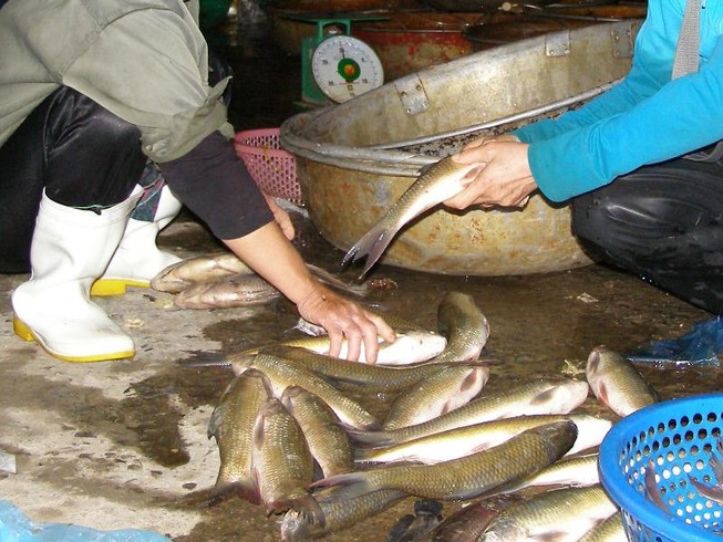 Tỉ lệ thịt tươi, rau, củ quả chứa chất cấm giảm