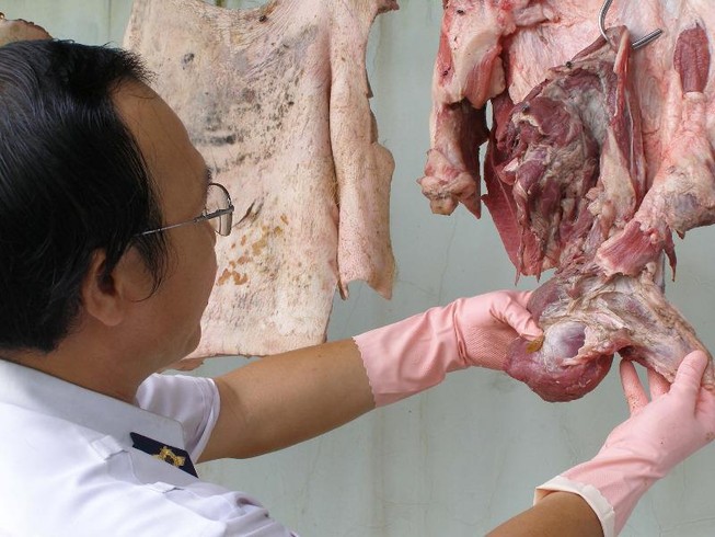 TP.HCM cần đầu mối xuyên suốt vấn đề an toàn thực phẩm