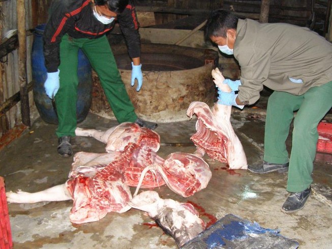 Dân cung cấp 45 thông tin về giết mổ gia súc trái phép