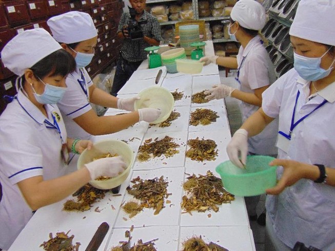 Người nước ngoài muốn được đào tạo về y học cổ truyền
