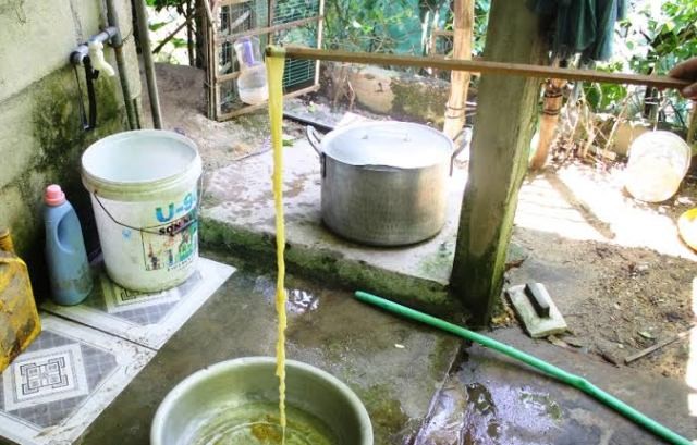 Sán sơ mít dài 12m ký sinh trong ruột người