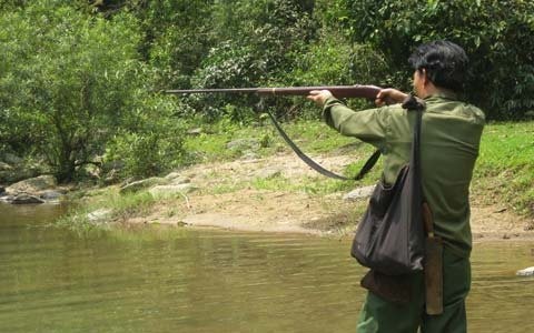 Dùng súng săn bắn chết người vì tưởng khỉ đang ngồi trên cây