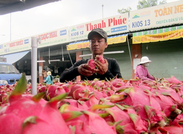 Nông dân 'ngậm trái đắng' vì nông sản rớt giá thê thảm
