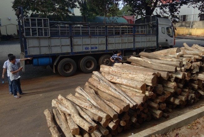 Bắt xe tải chở gỗ lậu từ Gia Lai về TP.HCM tiêu thụ