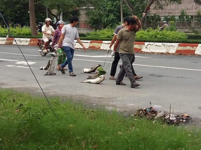 Dân kéo lê xác cá 'chặn' quốc lộ 51