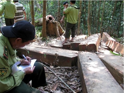 Cắm mốc ranh giới nơi diễn ra vụ phá rừng lớn chưa từng có