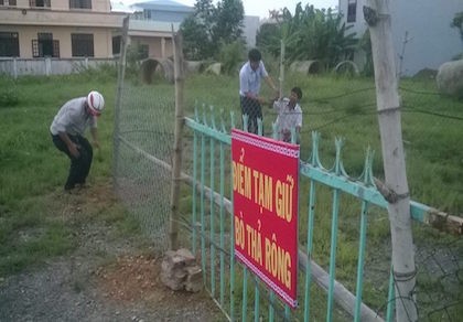 Lập 'trại tạm giữ' bò đi rông quậy phá phố phường