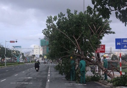 Đà Nẵng: Yêu cầu dọn sạch TP trong vòng một ngày sau bão