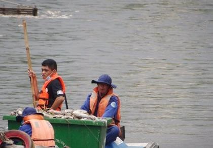 UBND TP chỉ đạo khắc phục tình trạng cá chết ở kênh Nhiêu Lộc