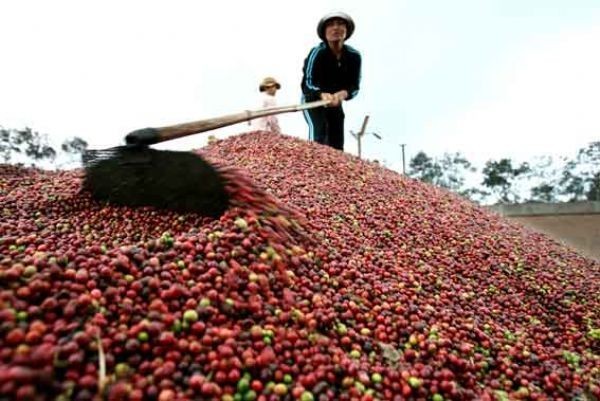 Việt Nam xuất siêu 1,3 tỉ USD trong 5 tháng