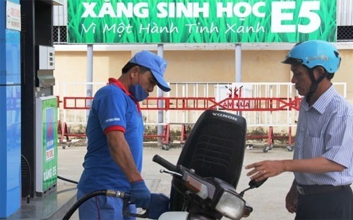 Doanh nghiệp chưa mặn mà kinh doanh xăng E5