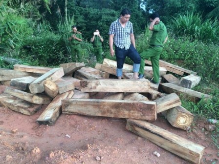 Tạm đình chỉ công tác một chi cục trưởng Hải quan ở Quảng Nam