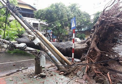 EVN cảnh báo nguy hiểm do bão số 1 gây tổn hại lưới điện
