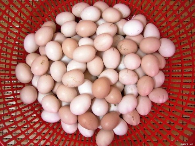 Giá một quả trứng gà bị đẩy lên gấp 2-3 lần