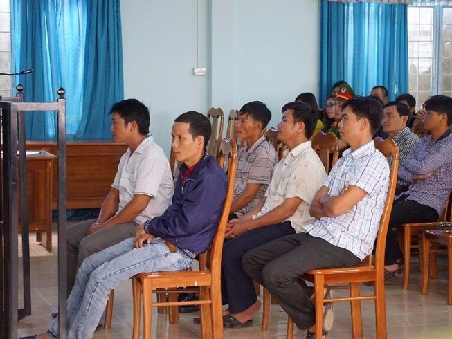 Mai xử vụ 'cưa gỗ khô trong rừng bị kết tội trộm cắp'