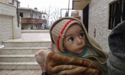 Ăn hết chó mèo, 40.000 người dân Syria ăn cỏ để sống