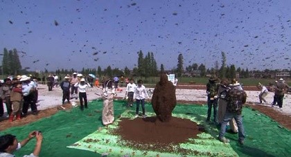 Xem ‘dị nhân’ để 637.000 con ong bu kín người