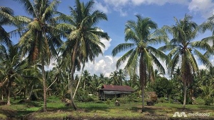 Trực thăng Malaysia chở nhiều quan chức cấp cao mất tích bí ẩn