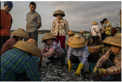 Lần thứ 18, Trung Quốc ngang nhiên cấm đánh bắt cá ở biển Đông