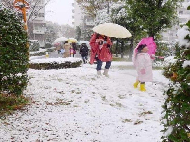 Tokyo đón đợt tuyết bất ngờ sau hơn nửa thế kỷ