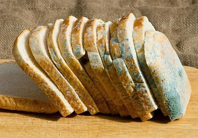 Ăn bánh bị nấm mốc, nguy hại cỡ nào?