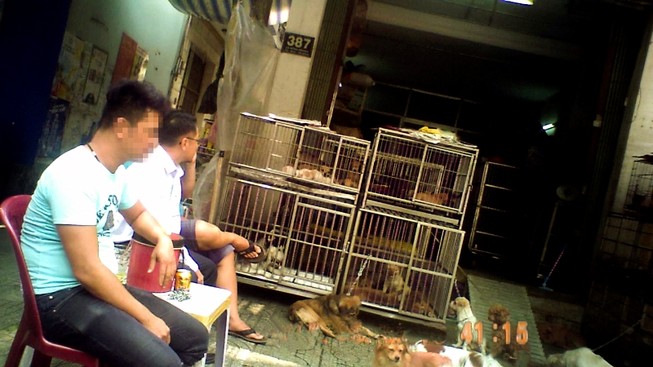 Các “cò chó” ra giá như thế nào?