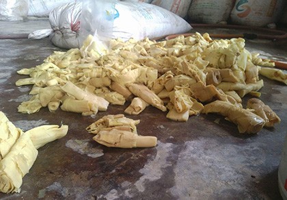 Phát hiện 12 tấn măng ngâm... thuốc nhuộm ở Hóc Môn