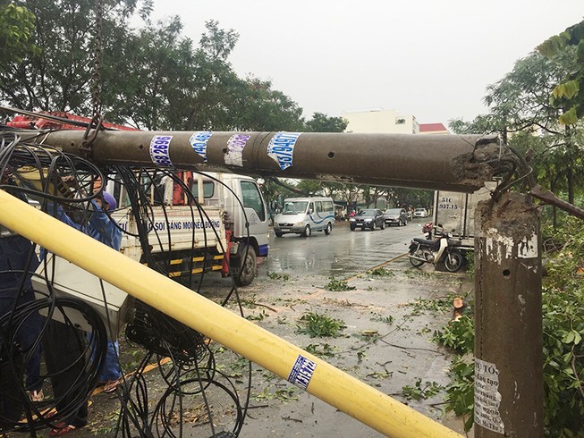 Mưa lớn, cây đè cột điện ở quận 2, giao thông hỗn loạn