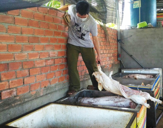 Phát hiện gần 2,5 tấn thịt heo thối chuẩn bị đem đi tiêu thụ