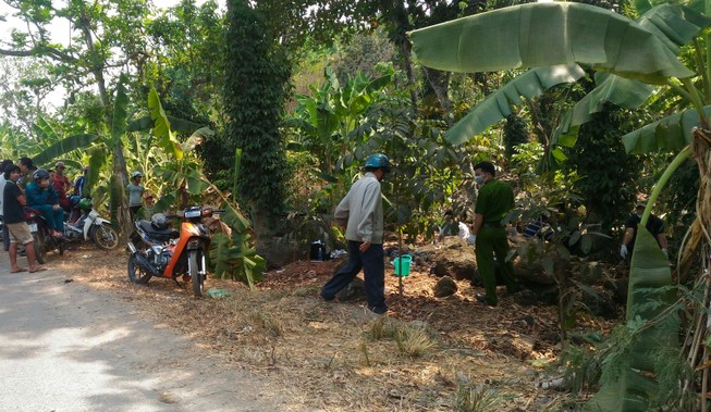 Hốt hoảng phát hiện xác chết trong vườn tiêu