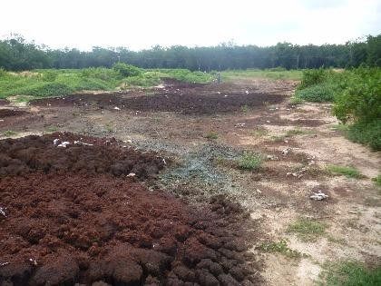 Lại phát hiện đổ trộm hàng trăm tấn bùn thải công nghiệp độc hại