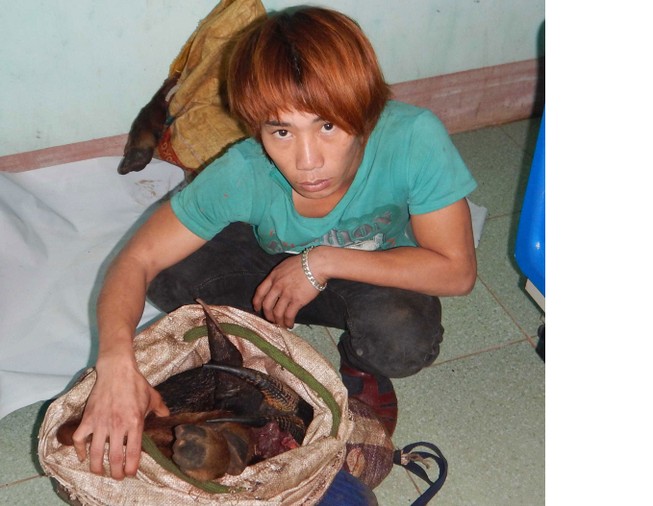 Bắt đối tượng săn Sơn Dương quý hiếm