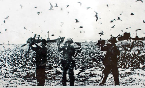 Ngày 25-4-1975: Giải phóng đảo Sơn Ca