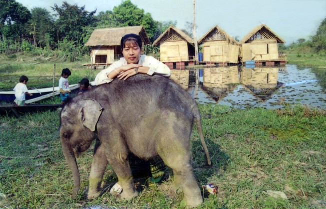 Đi tìm nữ chúa rừng xanh