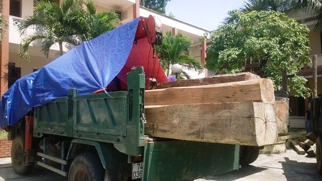 Hạt trưởng Hạt Kiểm lâm 'buôn' gỗ lậu