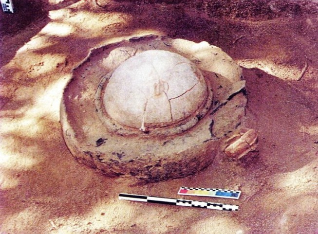 Những kho vàng nổi